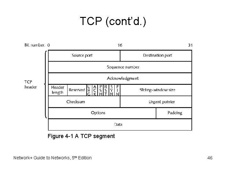 TCP (cont’d. ) Figure 4 -1 A TCP segment Network+ Guide to Networks, 5