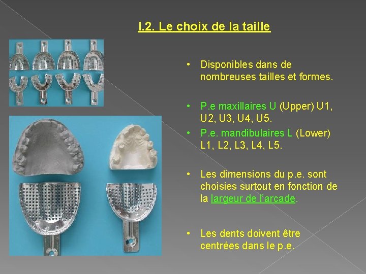 I. 2. Le choix de la taille • Disponibles dans de nombreuses tailles et