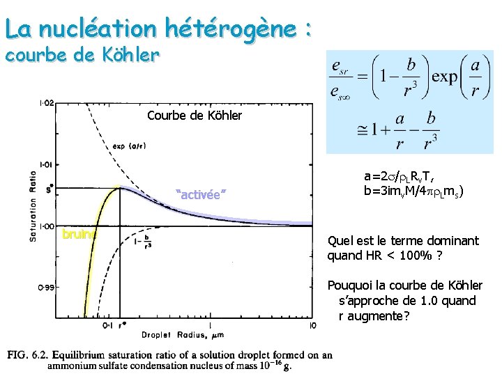 La nucléation hétérogène : courbe de Köhler Courbe de Köhler “activée” bruine a=2 s/r.