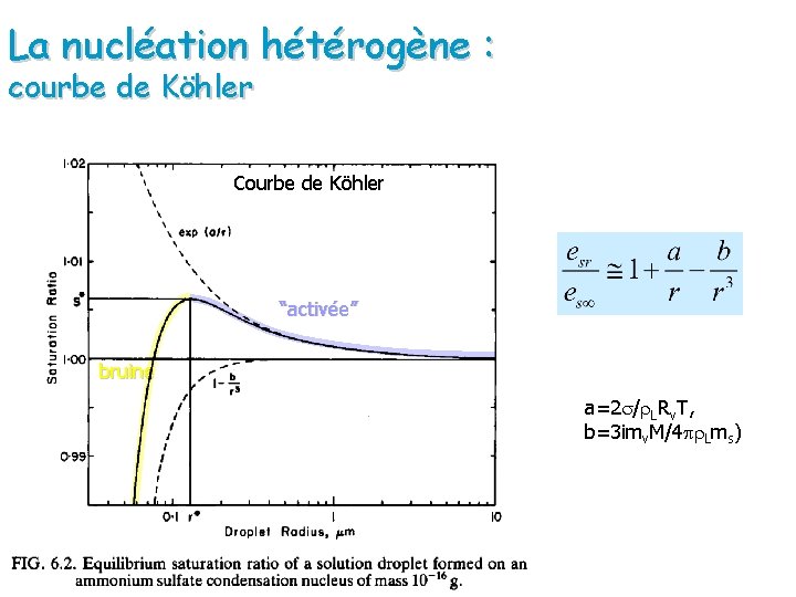 La nucléation hétérogène : courbe de Köhler Courbe de Köhler “activée” bruine a=2 s/r.