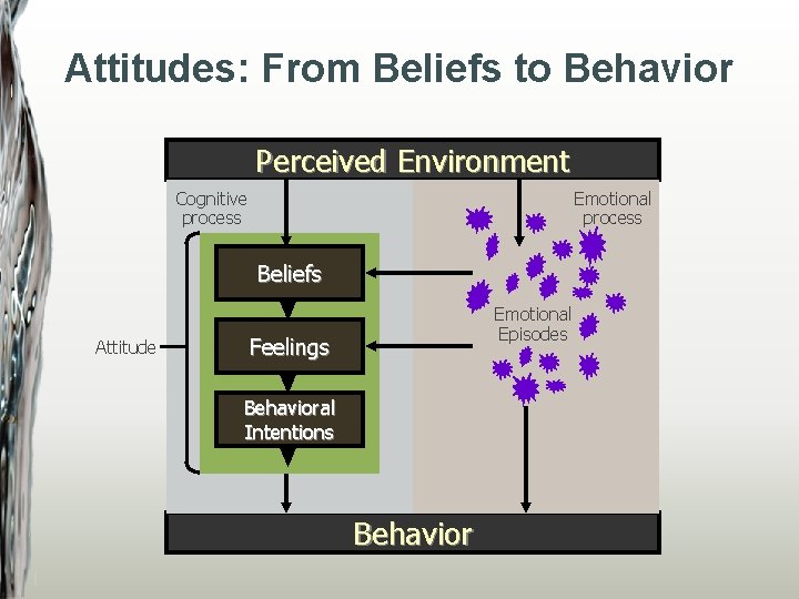 Attitudes: From Beliefs to Behavior Perceived Environment Cognitive process Emotional process Beliefs Attitude Emotional