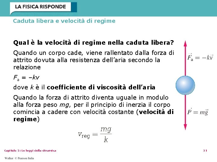 Caduta libera e velocità di regime Qual è la velocità di regime nella caduta Caduta libera e velocità di regime Qual è la velocità di regime nella caduta