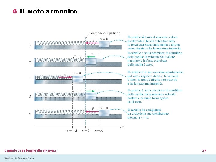 6 Il moto armonico Capitolo 5: Le leggi della dinamica 39 6 Il moto armonico Capitolo 5: Le leggi della dinamica 39