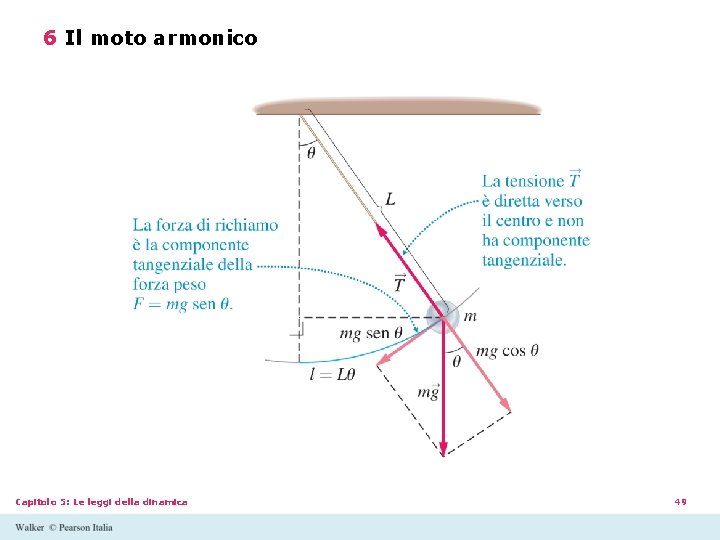 6 Il moto armonico Capitolo 5: Le leggi della dinamica 49 6 Il moto armonico Capitolo 5: Le leggi della dinamica 49