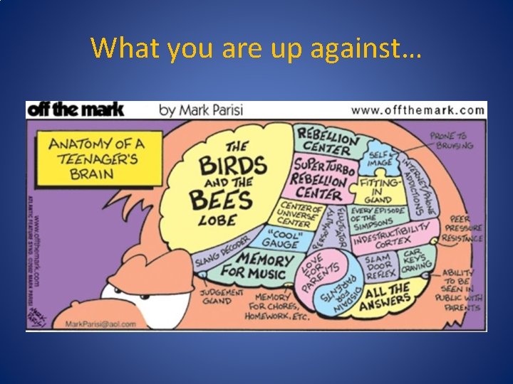 What you are up against… 