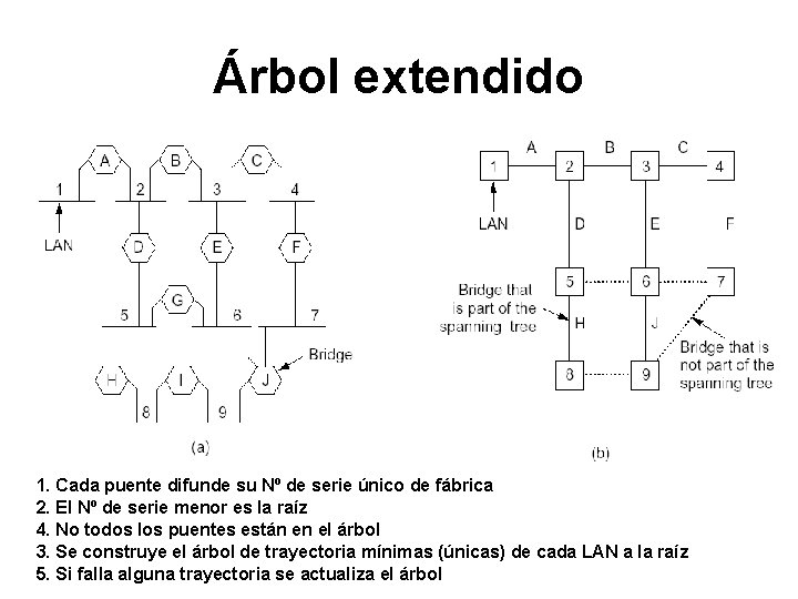 Árbol extendido 1. Cada puente difunde su Nº de serie único de fábrica 2. Árbol extendido 1. Cada puente difunde su Nº de serie único de fábrica 2.