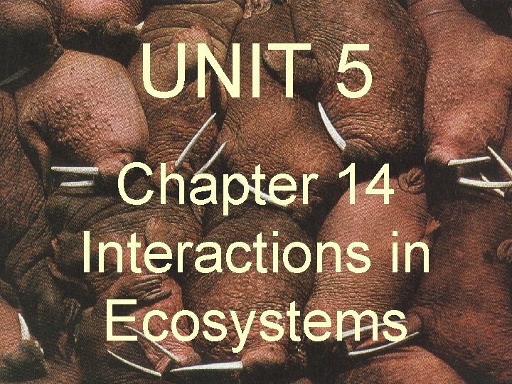 UNIT 5 Chapter 14 Interactions in Ecosystems 