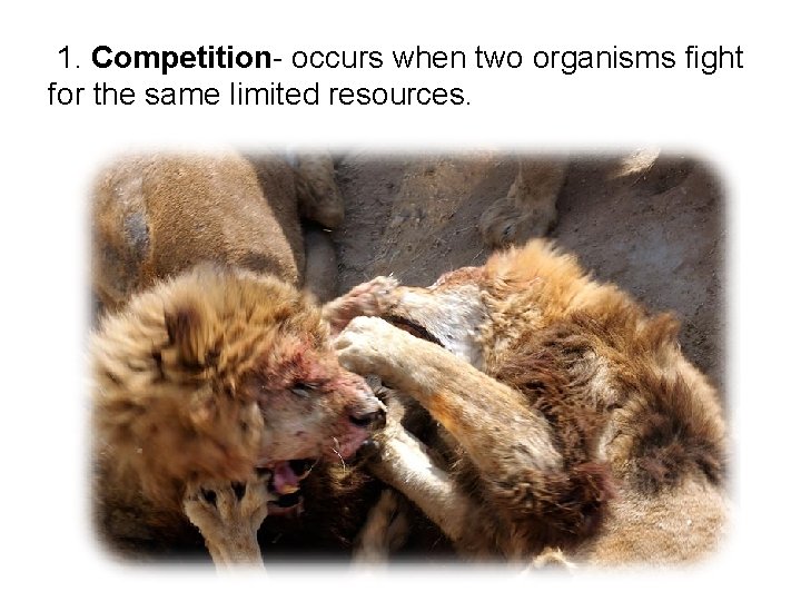  1. Competition- occurs when two organisms fight for the same limited resources. 