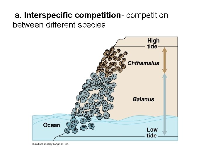  a. Interspecific competition- competition between different species 