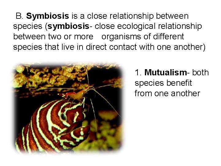  B. Symbiosis is a close relationship between species (symbiosis- close ecological relationship between