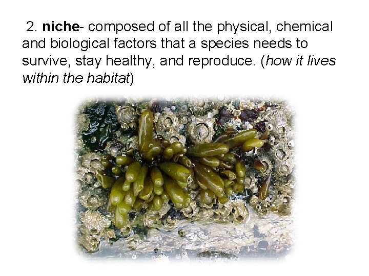  2. niche- composed of all the physical, chemical and biological factors that a