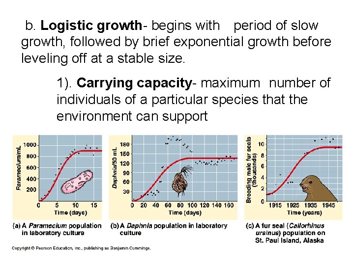  b. Logistic growth- begins with period of slow growth, followed by brief exponential