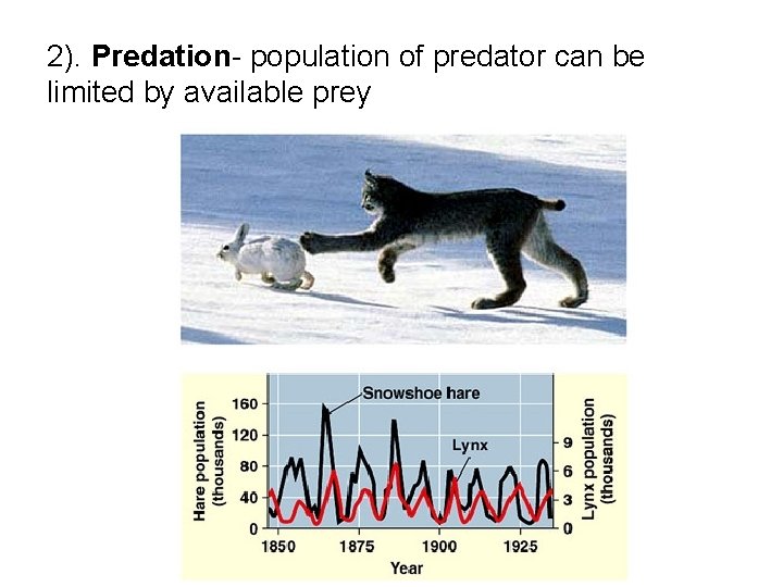 2). Predation- population of predator can be limited by available prey 