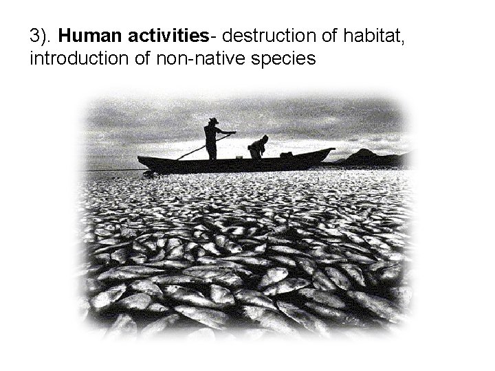 3). Human activities- destruction of habitat, introduction of non-native species 