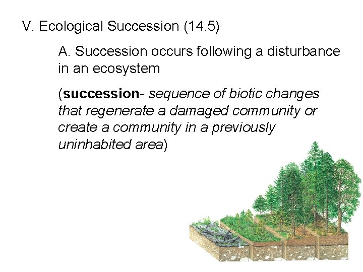 V. Ecological Succession (14. 5) A. Succession occurs following a disturbance in an ecosystem