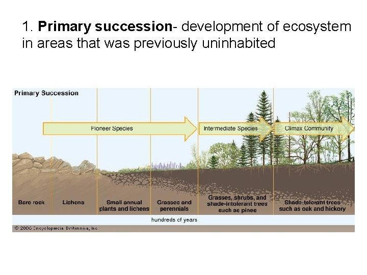 1. Primary succession- development of ecosystem in areas that was previously uninhabited 