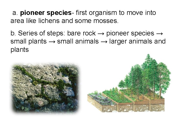  a. pioneer species- first organism to move into area like lichens and some