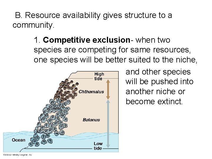  B. Resource availability gives structure to a community. 1. Competitive exclusion- when two