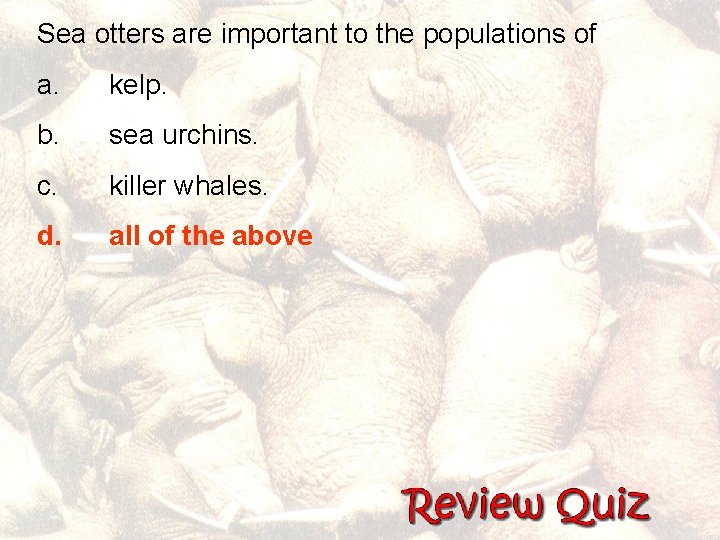 Sea otters are important to the populations of a. kelp. b. sea urchins. c.