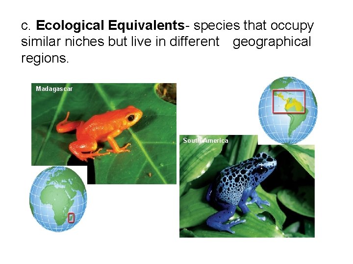 c. Ecological Equivalents- species that occupy similar niches but live in different geographical regions.