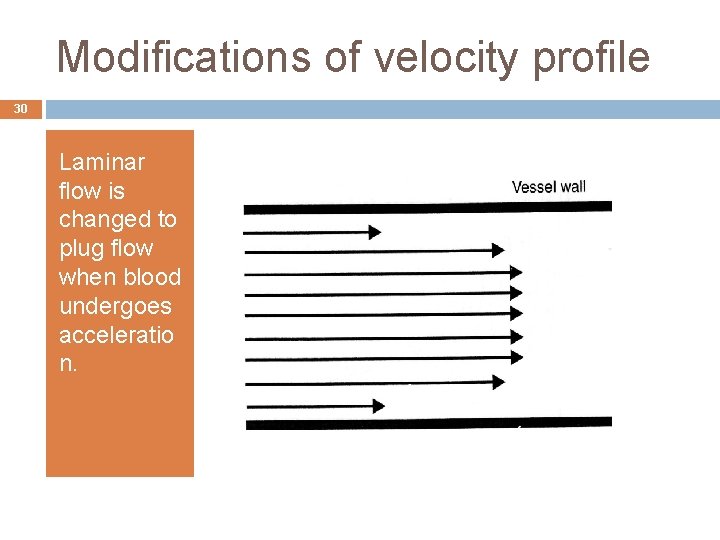 Modifications of velocity profile 30 Laminar flow is changed to plug flow when blood