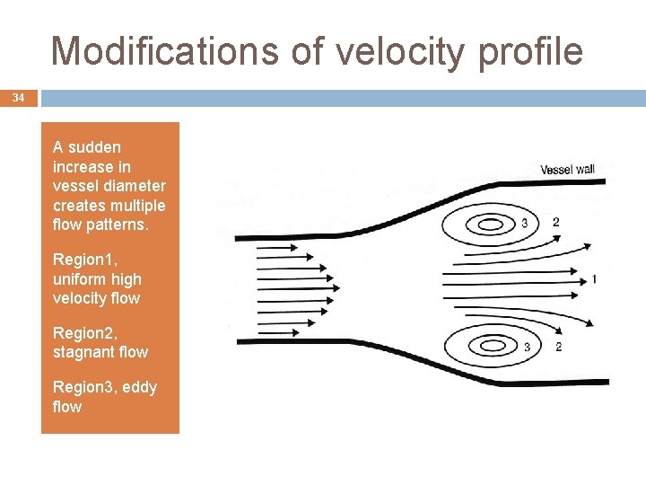 Modifications of velocity profile 34 A sudden increase in vessel diameter creates multiple flow