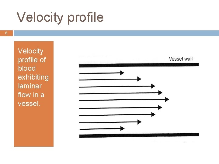 Velocity profile 6 Velocity profile of blood exhibiting laminar flow in a vessel. 