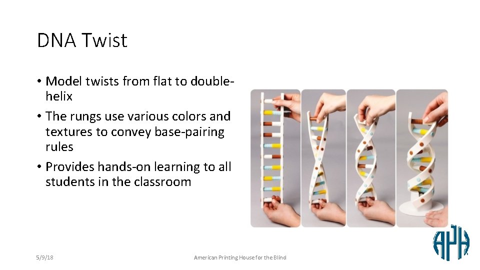 DNA Twist • Model twists from flat to doublehelix • The rungs use various