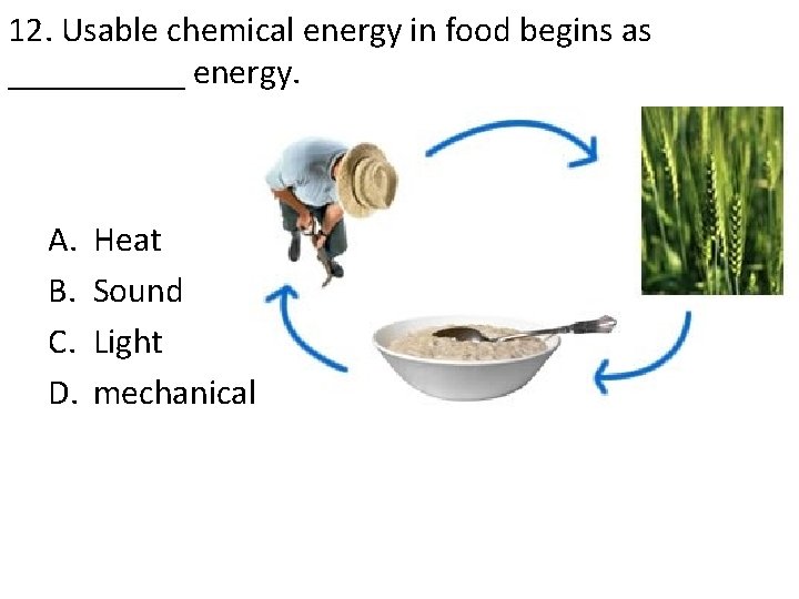 12. Usable chemical energy in food begins as _____ energy. A. B. C. D.