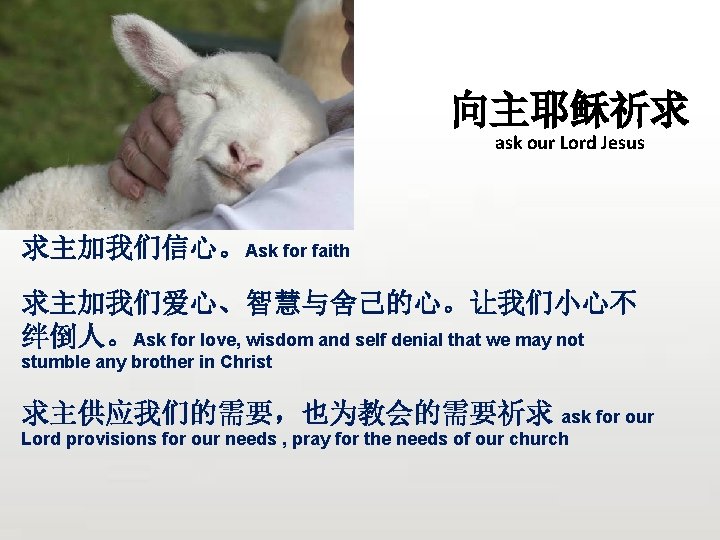 向主耶稣祈求 ask our Lord Jesus 求主加我们信心。Ask for faith 求主加我们爱心、智慧与舍己的心。让我们小心不 绊倒人。Ask for love, wisdom and