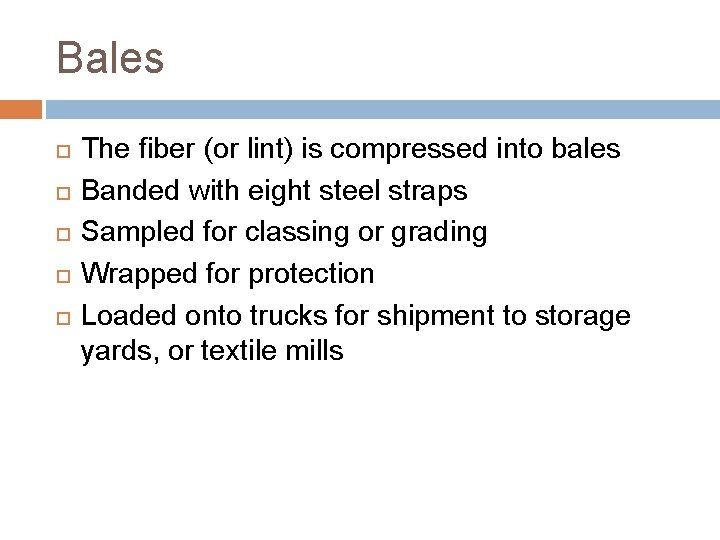 Bales The fiber (or lint) is compressed into bales Banded with eight steel straps