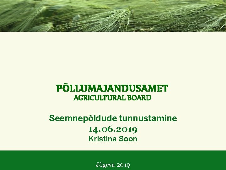 Seemnepõldude tunnustamine 14. 06. 2019 Kristina Soon Jõgeva 2019 