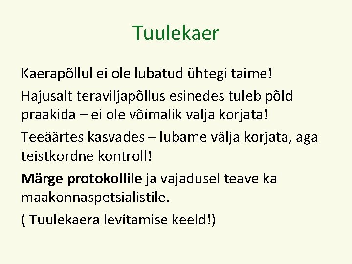 Tuulekaer Kaerapõllul ei ole lubatud ühtegi taime! Hajusalt teraviljapõllus esinedes tuleb põld praakida –