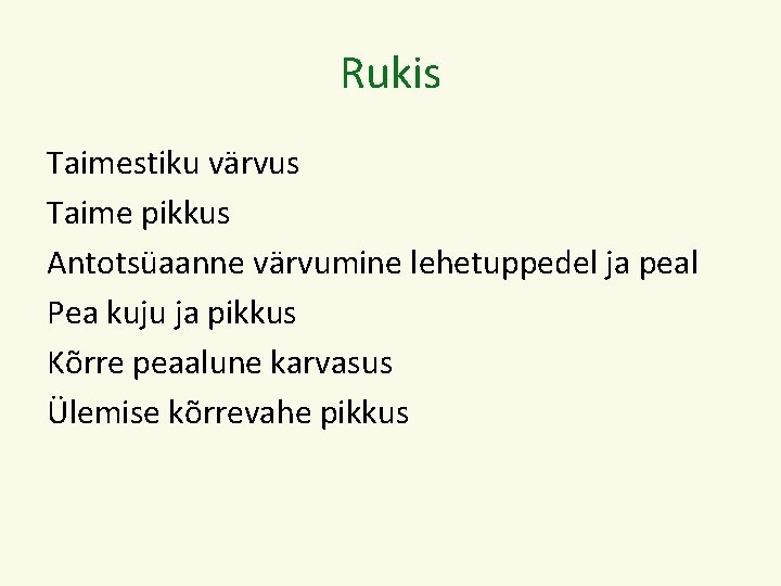 Rukis Taimestiku värvus Taime pikkus Antotsüaanne värvumine lehetuppedel ja peal Pea kuju ja pikkus