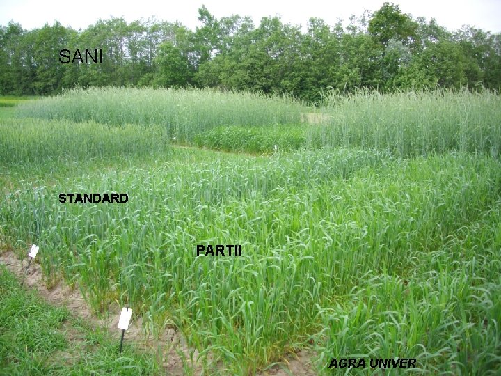 SANI STANDARD PARTII AGRA UNIVER 