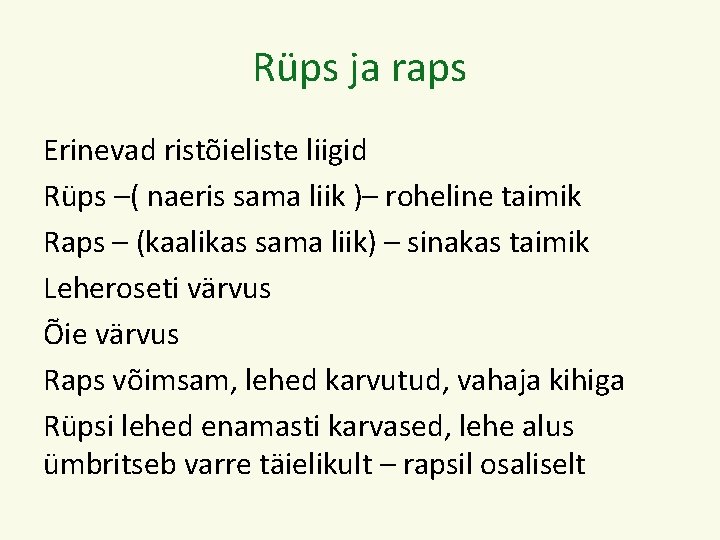 Rüps ja raps Erinevad ristõieliste liigid Rüps –( naeris sama liik )– roheline taimik