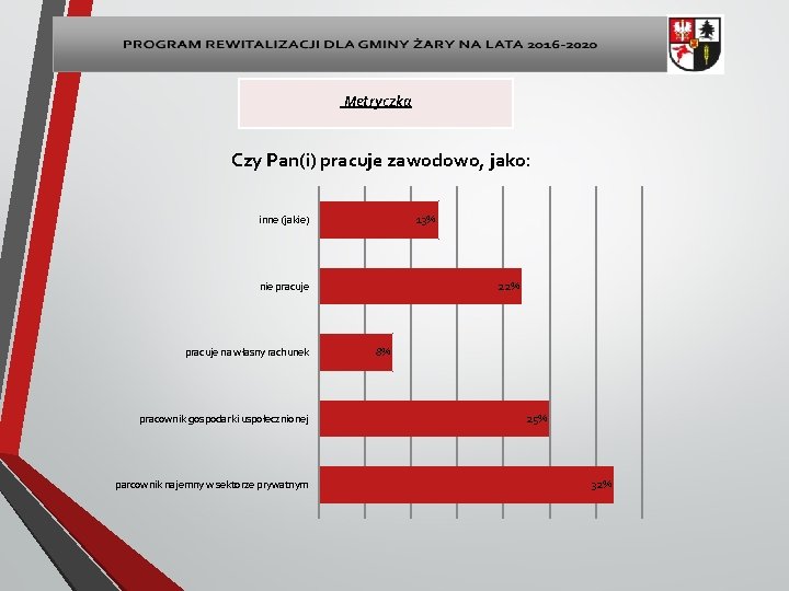 Metryczka Czy Pan(i) pracuje zawodowo, jako: inne (jakie) 13% nie pracuje na własny rachunek