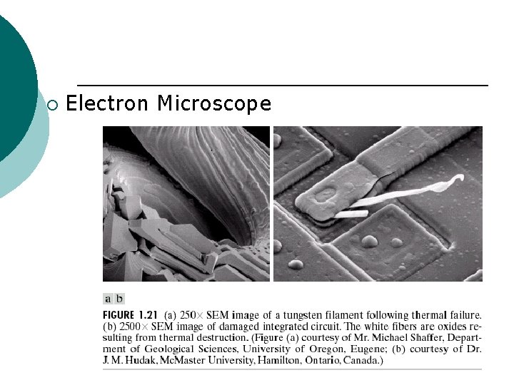 ¡ Electron Microscope 