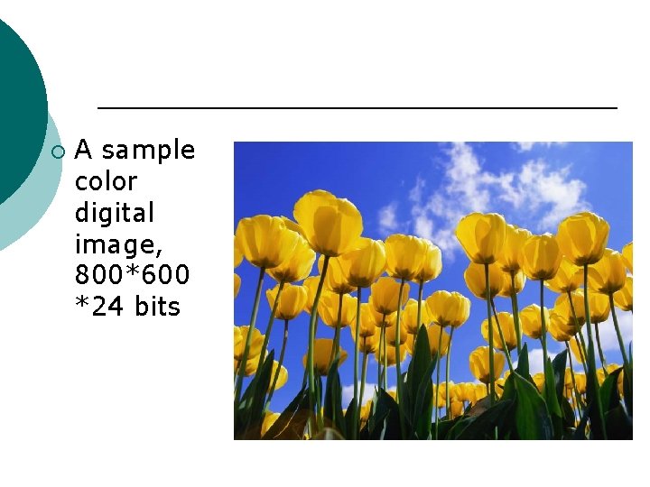 ¡ A sample color digital image, 800*600 *24 bits 