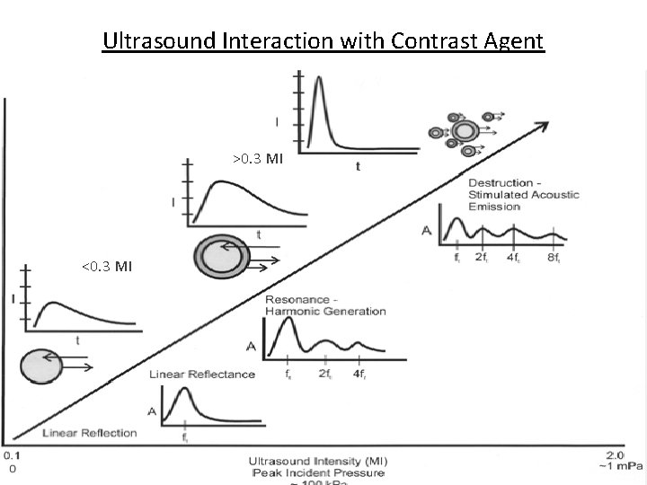 Ultrasound Interaction with Contrast Agent >0. 3 MI <0. 3 MI Ultrasound Interaction with Contrast Agent >0. 3 MI <0. 3 MI