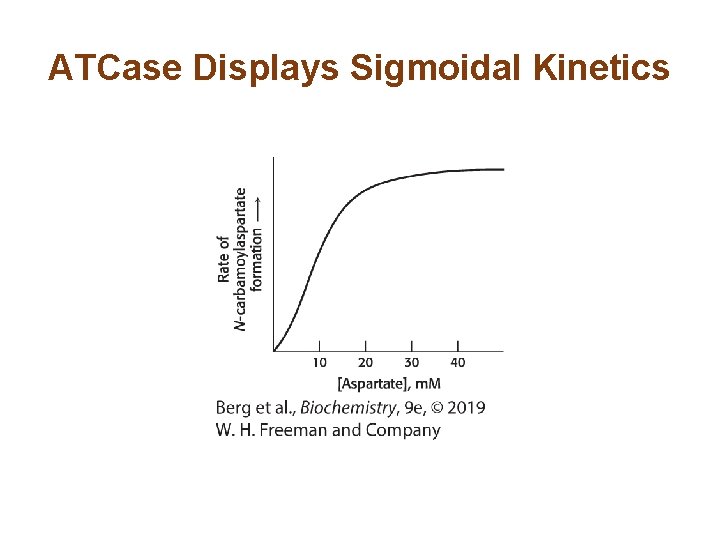 ATCase Displays Sigmoidal Kinetics ATCase Displays Sigmoidal Kinetics