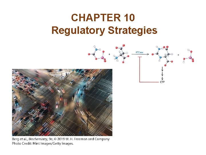 CHAPTER 10 Regulatory Strategies CHAPTER 10 Regulatory Strategies