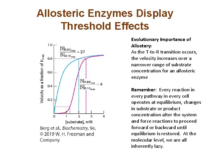 Allosteric Enzymes Display Threshold Effects Evolutionary Importance of Allostery: As the T-to-R transition occurs, Allosteric Enzymes Display Threshold Effects Evolutionary Importance of Allostery: As the T-to-R transition occurs,