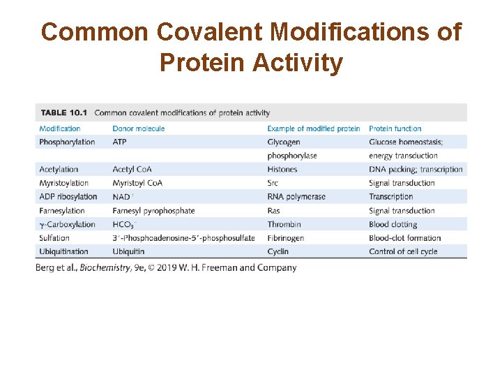 Common Covalent Modifications of Protein Activity Common Covalent Modifications of Protein Activity