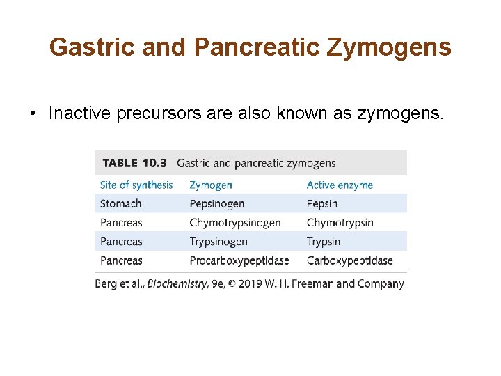 Gastric and Pancreatic Zymogens • Inactive precursors are also known as zymogens. Gastric and Pancreatic Zymogens • Inactive precursors are also known as zymogens.