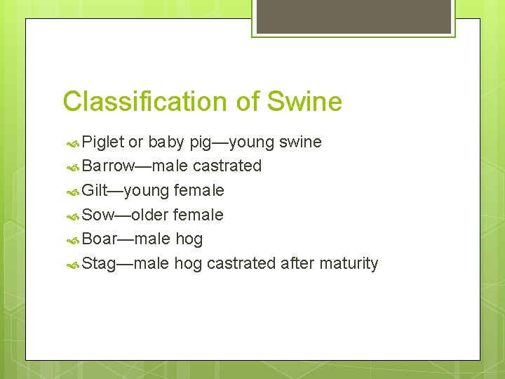 Classification of Swine Piglet or baby pig—young swine Barrow—male castrated Gilt—young female Sow—older female