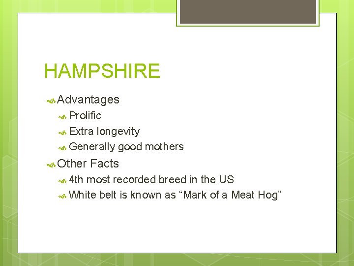 HAMPSHIRE Advantages Prolific Extra longevity Generally good mothers Other 4 th Facts most recorded