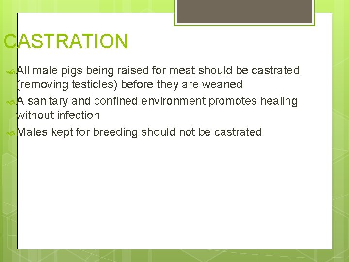 CASTRATION All male pigs being raised for meat should be castrated (removing testicles) before