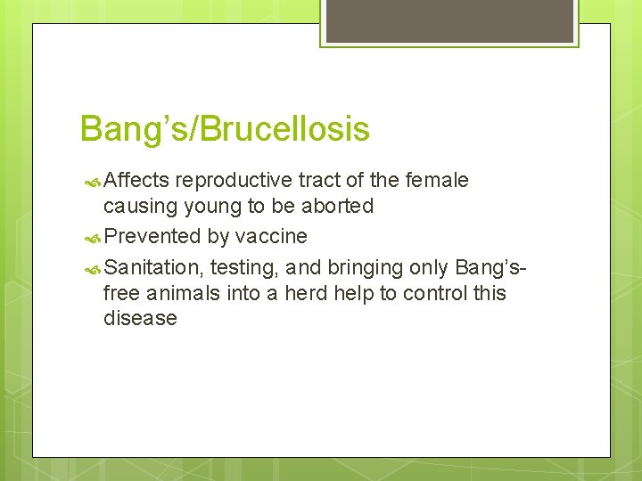 Bang’s/Brucellosis Affects reproductive tract of the female causing young to be aborted Prevented by