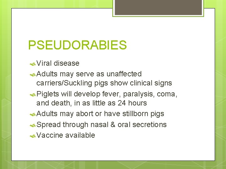 PSEUDORABIES Viral disease Adults may serve as unaffected carriers/Suckling pigs show clinical signs Piglets